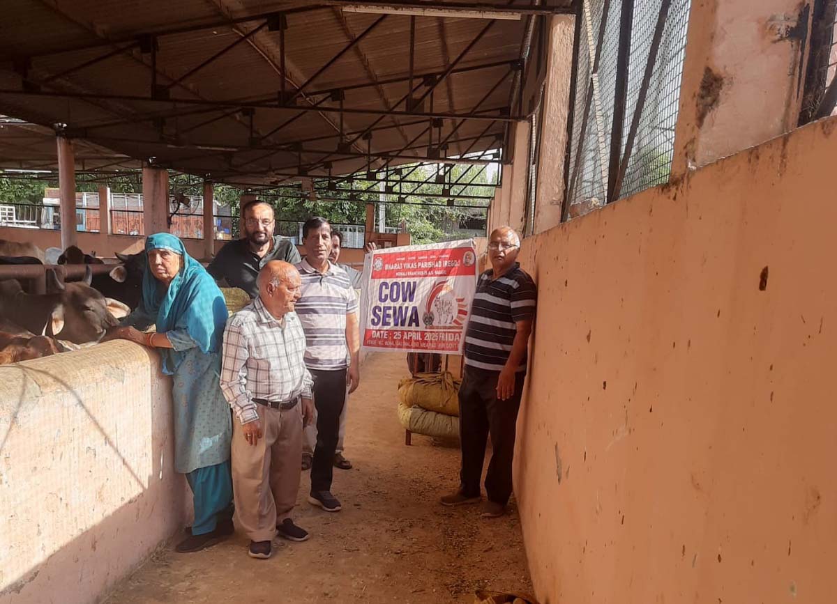 Bharat Vikas Parishad Mohali members visited Gaushala and did Gau Seva.